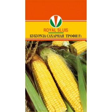 Купить семена Кукуруза сахарная  трофи F1