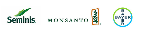 Производители семян – Seminis, Monsanto, BAYER.