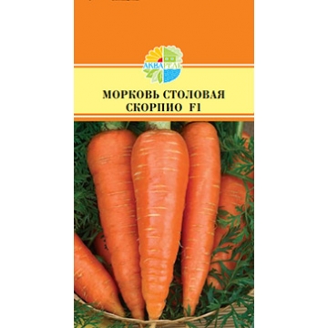 Купить семена Морковь Скорпио F1 столовая