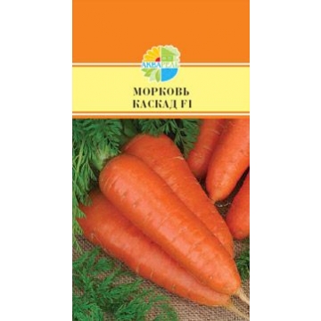 Купить семена Морковь Каскад F1