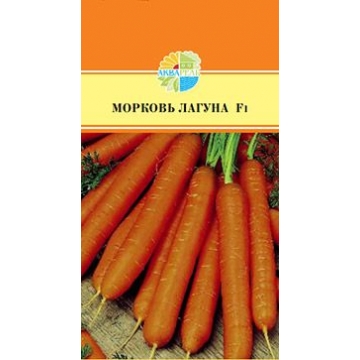 Купить семена Морковь Лагуна F1