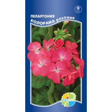 Купить семена Пеларгония зональная Колорама розовая